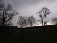Gemarkung Sch&ouml;ckingen B&auml;ume Wolken